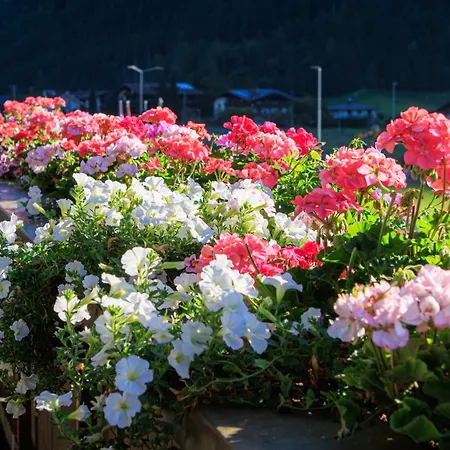 Carla Casa de hóspedes 3*