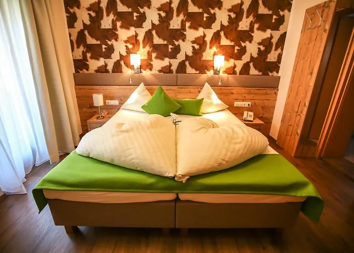 Gasthuis Carla Mayrhofen