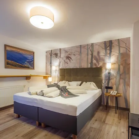 Konukevi Carla Mayrhofen