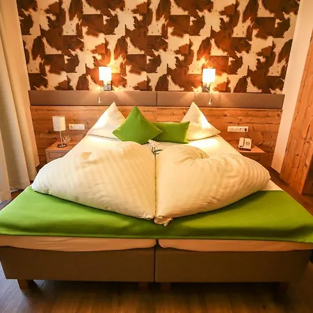 Konukevi Carla Mayrhofen