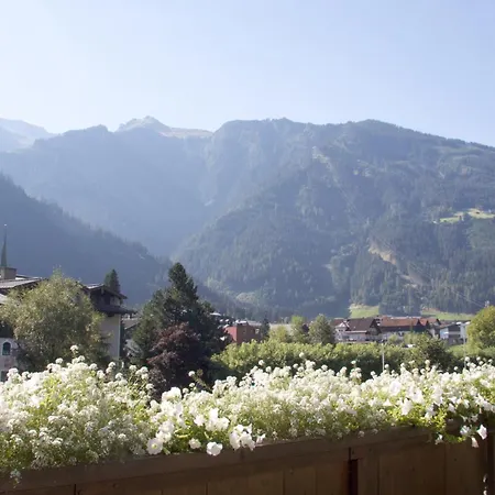 Carla 게스트하우스