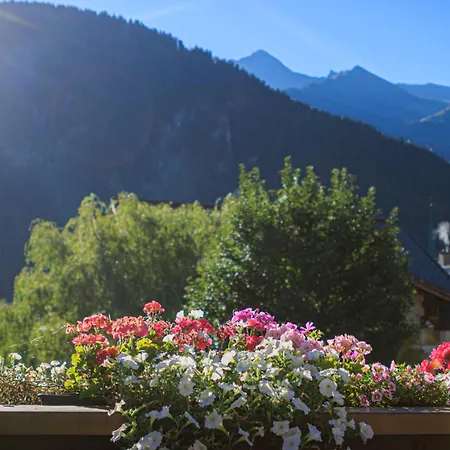 Carla 3* マイヤーホーフェン